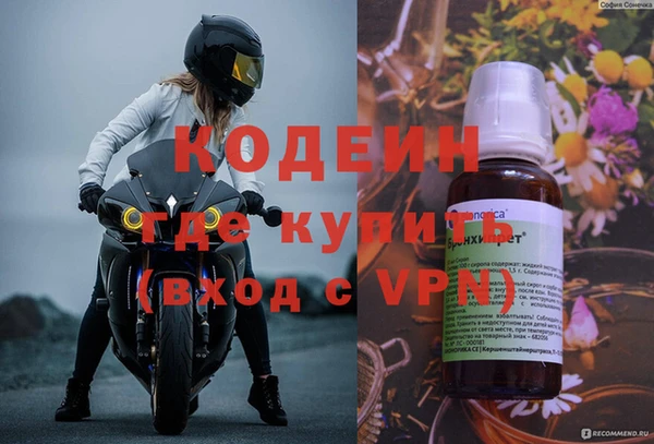 apvp Гатчина