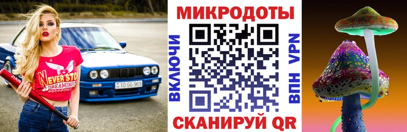 Псилоцибиновые грибы Psilocybine cubensis  Беломорск 